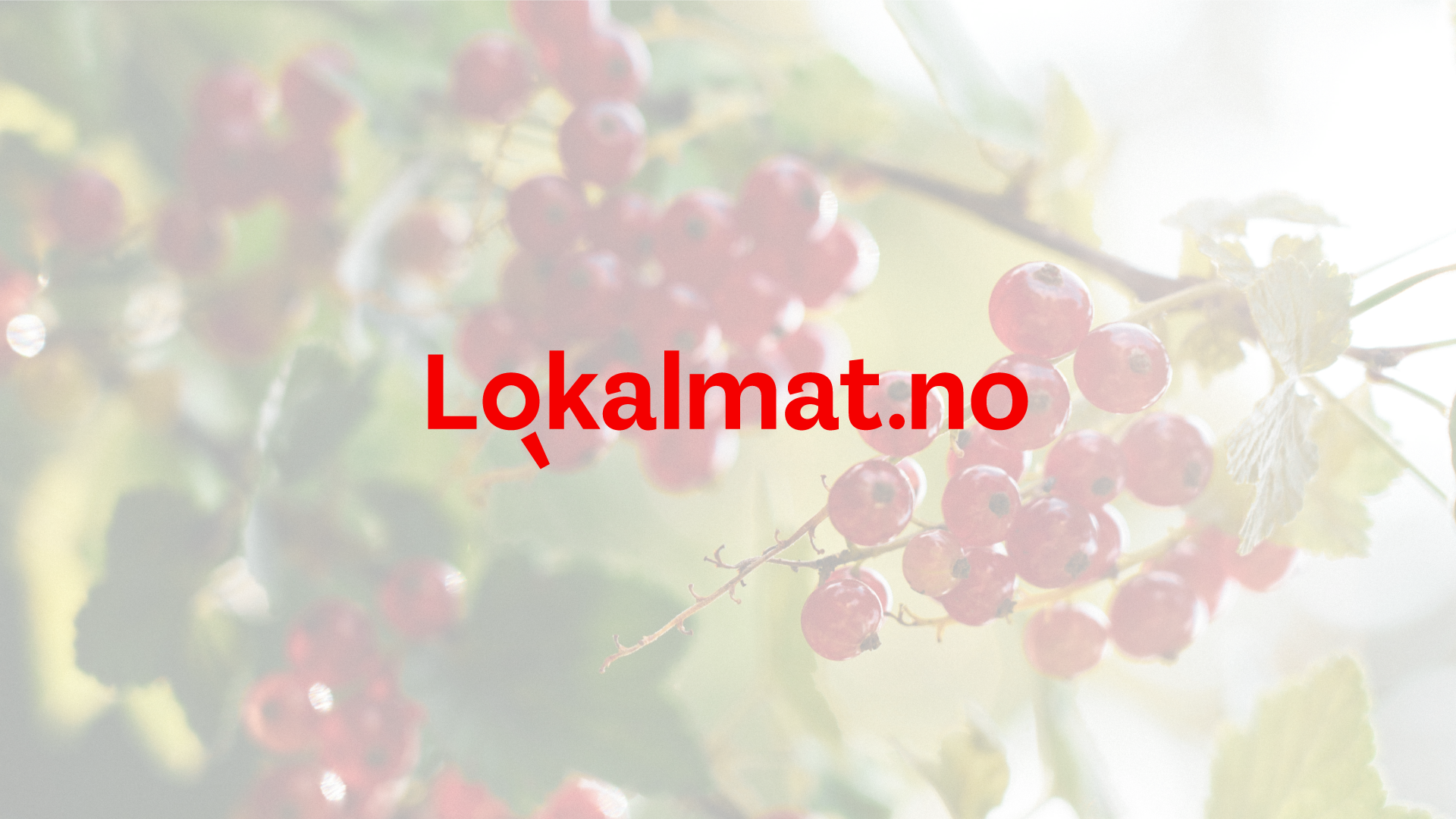 Lokalmat.no logo