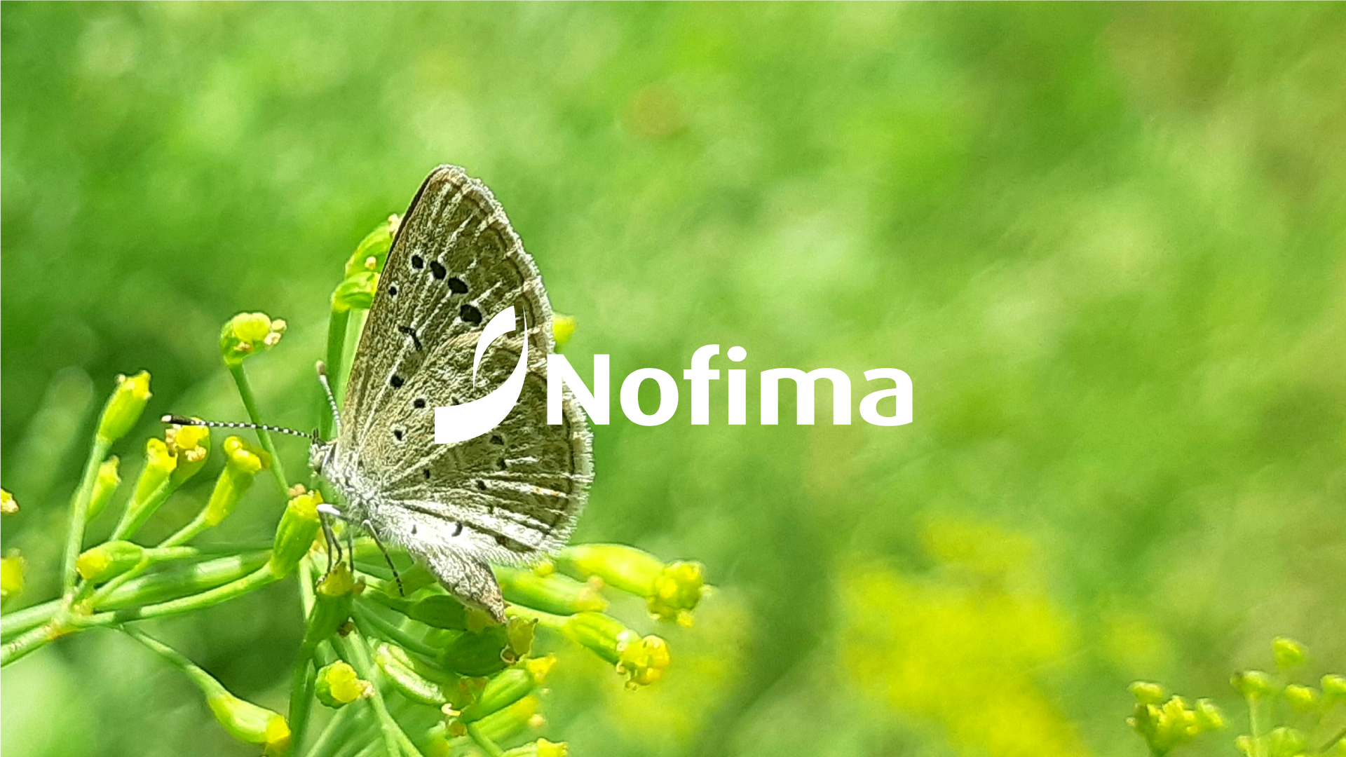 Nofima