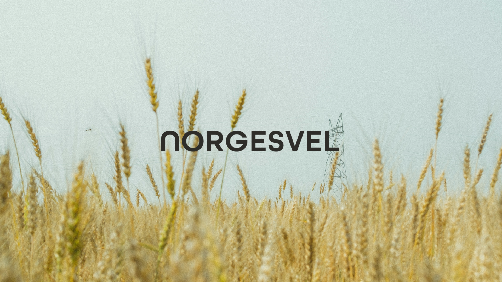 Norges Vel logo