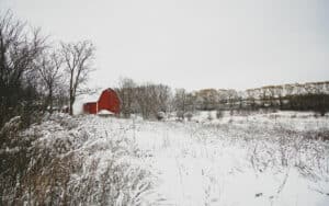 Vinter, kaldt, gård, låve